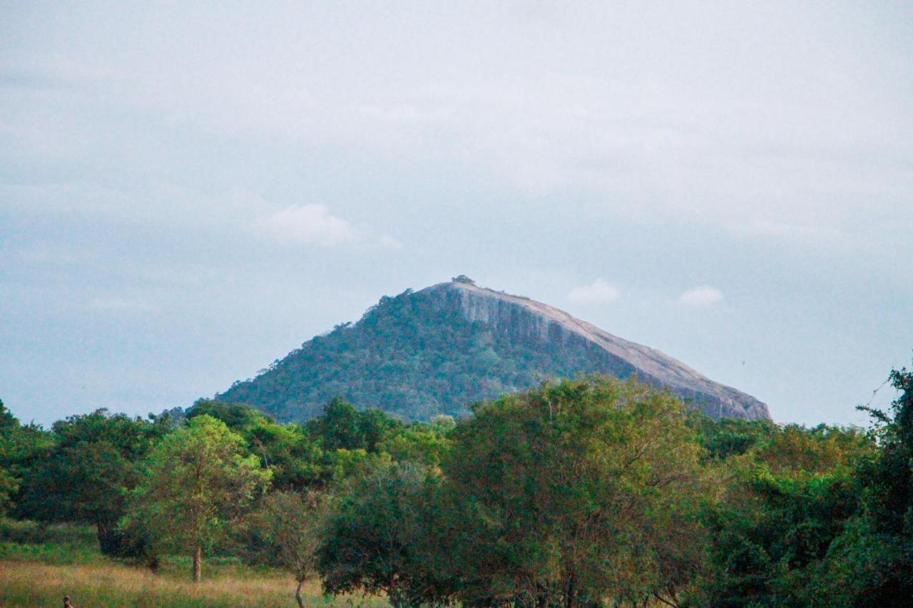 Hotel Amelia Sigiriya