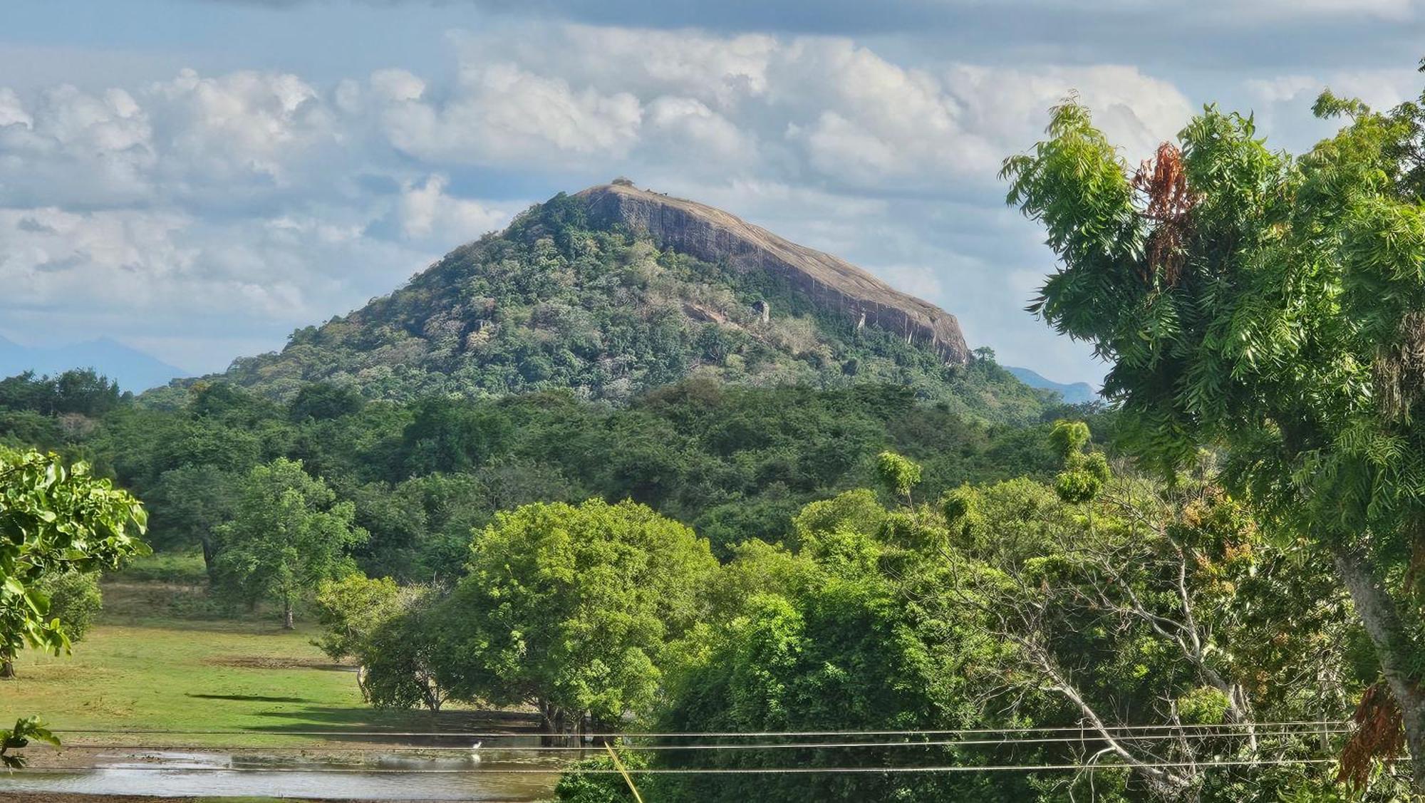 Amelia Sigiriya