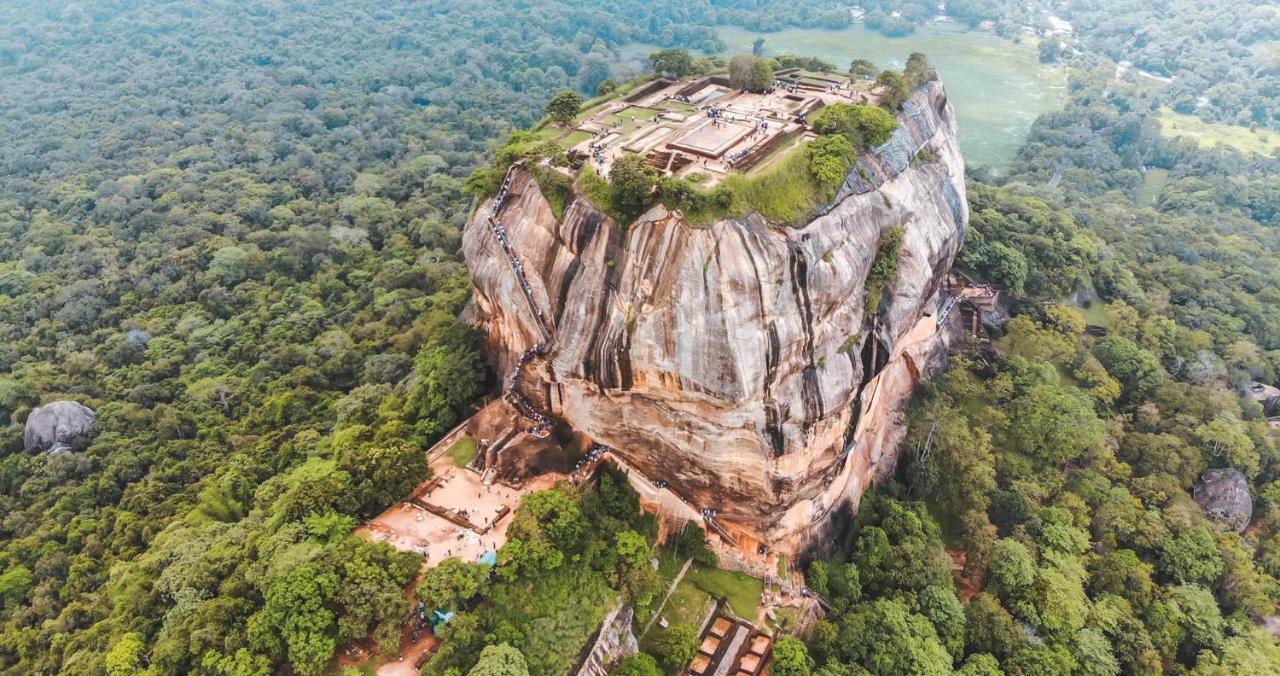 Amelia Sigiriya