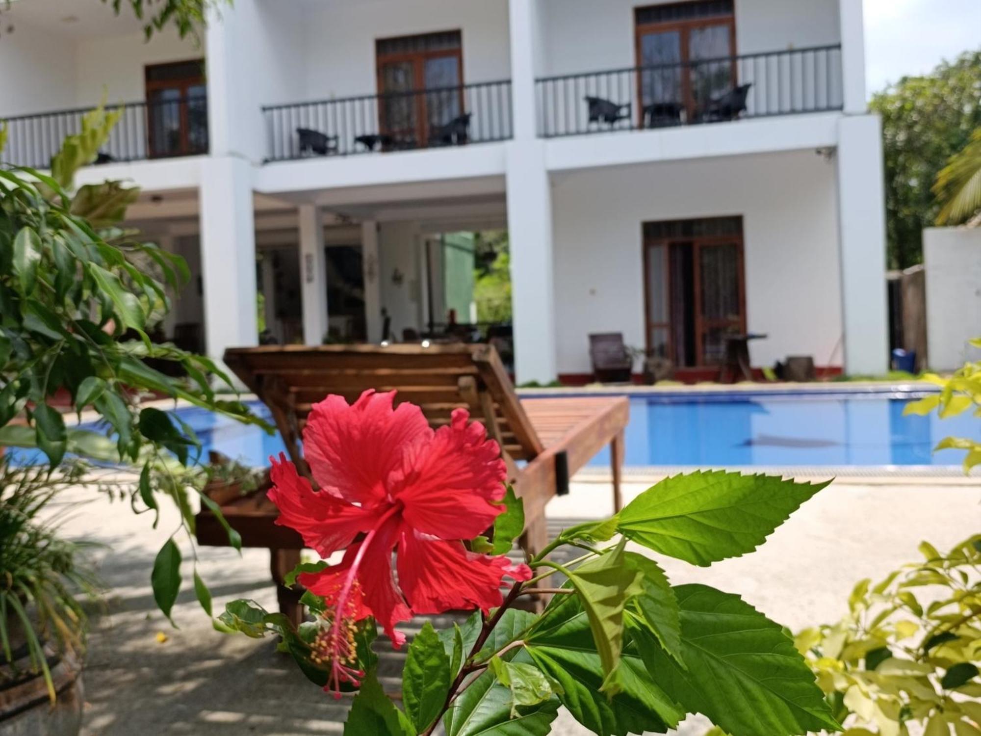 Amelia Hotel